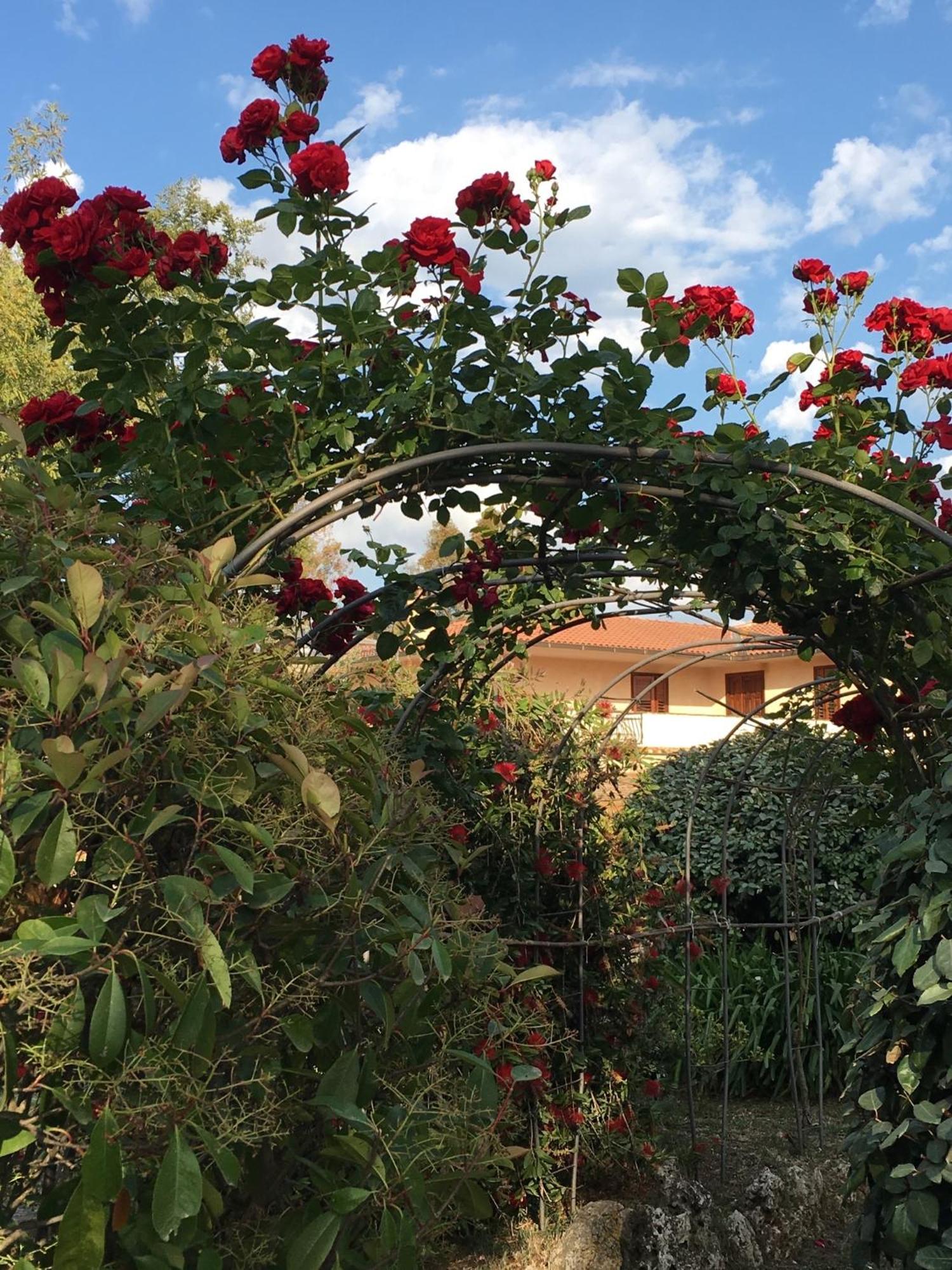 Bagno Santo Residence Saturnia Esterno foto